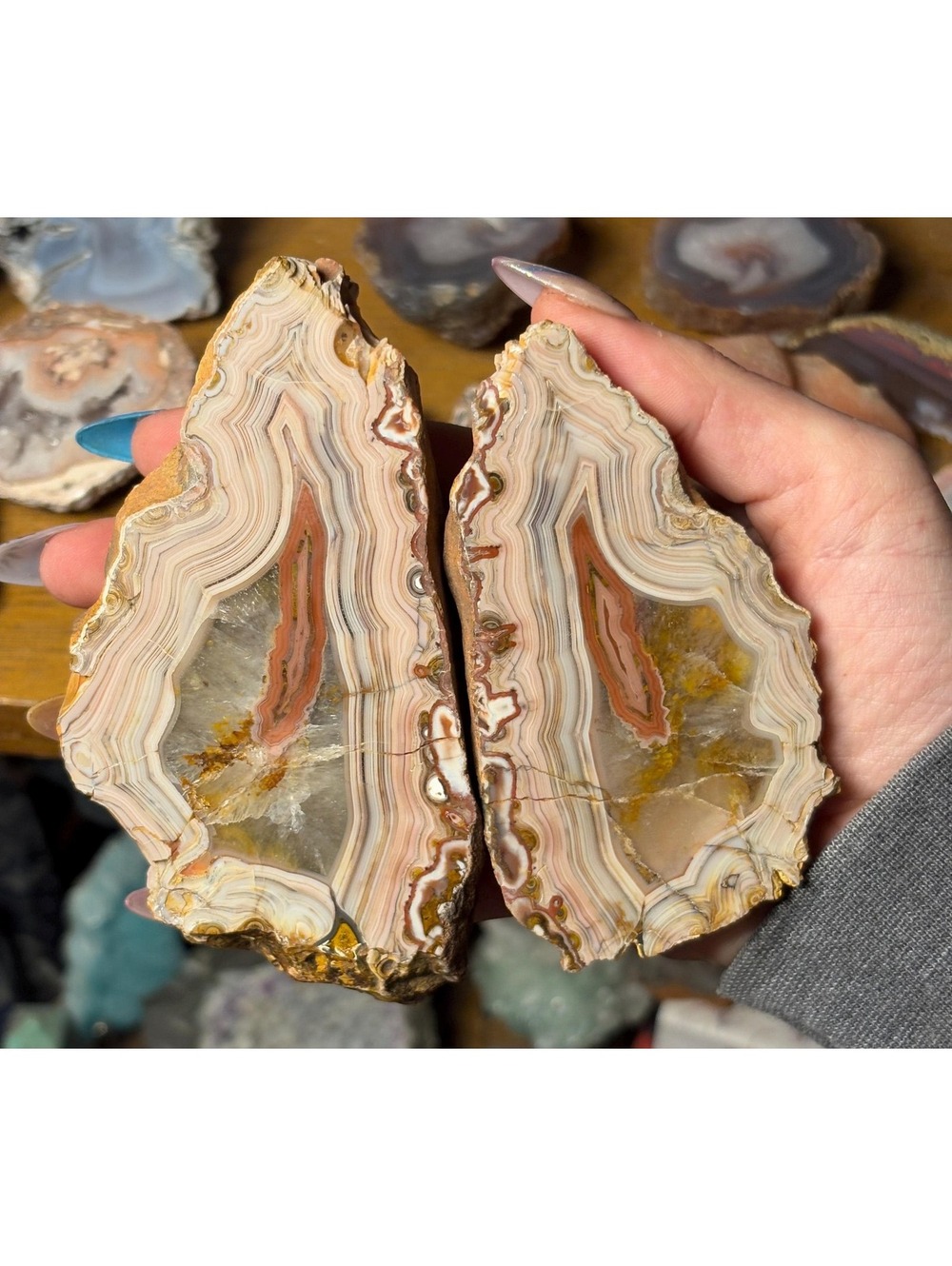 Rare Wave Hill Agate Pair | Collector Grade Australian Fortification Agate